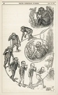 Darwin Gallery: Science / Evolution / Ascent