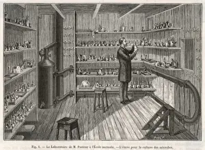 Science / Pasteur