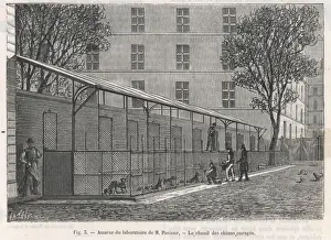 Science / Pasteur