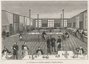 Science / Pasteur