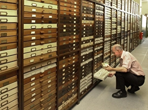 Araneae Gallery: Scientist working in Entomology Department