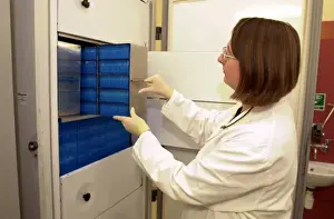 Tissue Prints: Scientist working with tissue collections