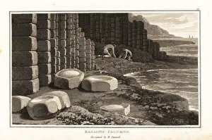 Mineralogy Prints: Scientists investigating basalt columns, Staffa, Scotland