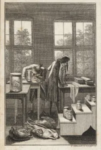 Scientists Prints: Scientists in a lab examining specimens in