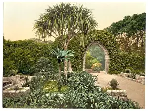 Arches Prints: Scilly Isles, Tresco Abbey, old arches, Cornwall, England