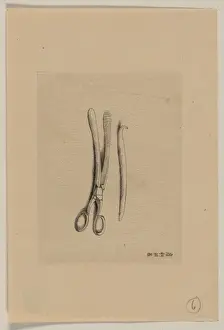 Clamps Prints: Scissor clamps and hooked probe?
