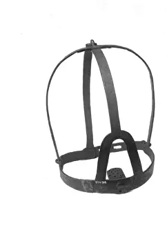 A scolds bridle