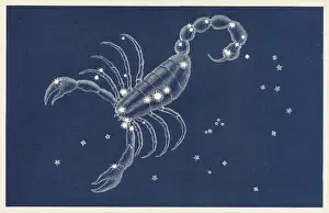 Norton Prints: Scorpio