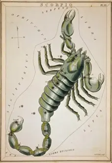 Scorpio