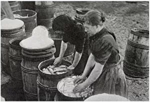 Images Dated 25th January 2021: Scotch Herring Women Workers 1902