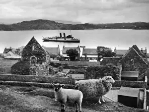 Scotland / Iona