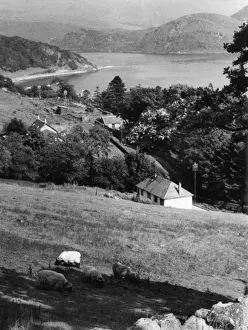 Scotland / Loch Fyne