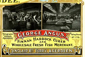 Scotlands Industrial Souvenir
