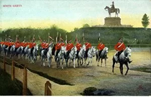 Greys Collection: Scots Greys