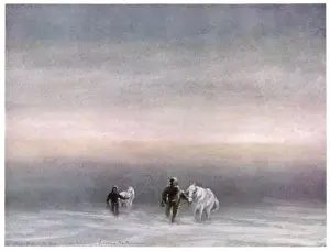 Scott Exercises Ponies