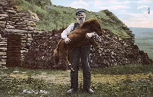 Scottish Crofter and young pony - Shetland Islands, Scotland