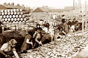 Herring Prints: Scottish fisher girls, Great Yarmouth