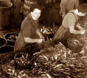 Scottish fisher girls (herring gutters and packers)