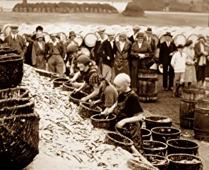 Scottish fisher girls (herring gutters and packers)