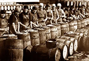 Scottish fisher girls (herring gutters and packers)