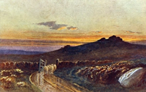 Images Dated 23rd October 2012: Scottish Highland Scene