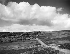 Dunbartonshire Prints: Scottish Landscape