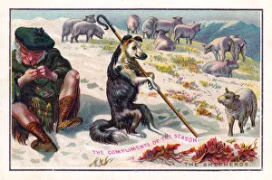 Scottish shepherd with dog and sheep on a Christmas card