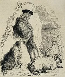 Sociales Collection: Scottish shepherd, illustration from The illustrated