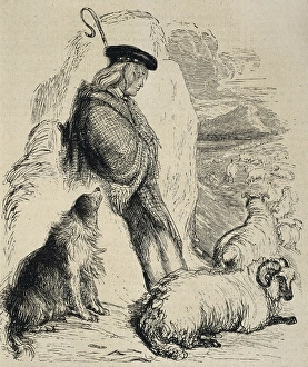 Scottish shepherd, illustration from The illustrated