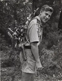 Scout carrying wood on his back in Australia