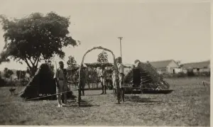 Inches Prints: Scouts at 5th Nadi camp, Fiji, South Pacific