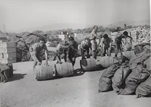 Distribution Prints: Scouts distributing water in Zakynthos, Greece