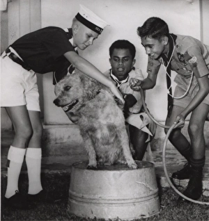 Scouts from Fiji, South Pacific Scouts from Fiji, South Pacific