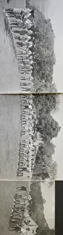 Ease Prints: Scouts on parade, Grenada, West Indies
