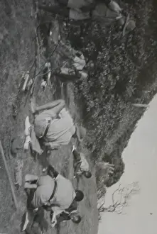 Grenada Prints: Scouts at a training camp, Grenada, West Indies