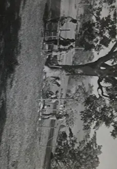 Scouts at a training camp, Grenada, West Indies