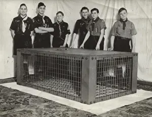 Scouts during Wartime