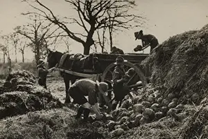 Scouts during Wartime