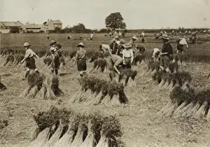 Scouts during Wartime