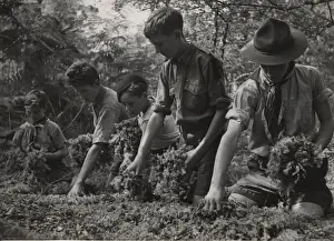 Scouts during Wartime