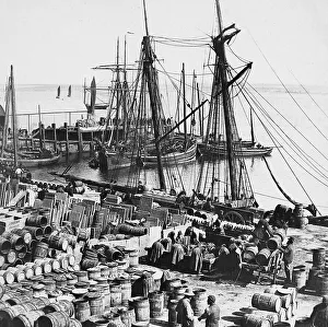 Scrabster Harbour Victorian period