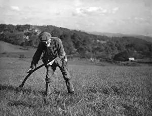 Scything Prints: Scything Hay / Wales
