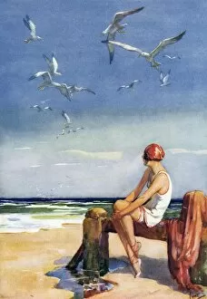 Sea-birds by Wilmot Lunt