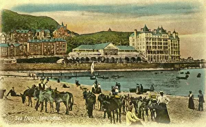 Sea front with donkey rides, Llandudno, Wales