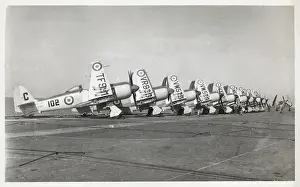 Fury Prints: Sea Furies on HMS Centaur aircraft carrier