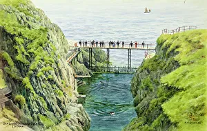 Viewing Prints: Sea Lions, Groudle Glen, Isle of Man