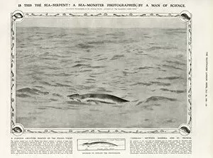 A sea-monster photographed by a man of science