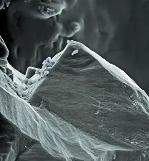 Magnification Prints: Sea salt
