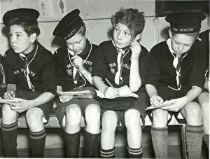 1950s Childhood Gallery: Four Sea Scouts at Colchester, Essex