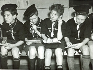 1950s Childhood Gallery: Four Sea Scouts at Colchester, Essex